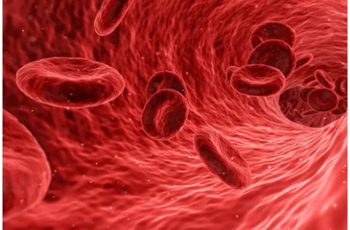 Kan şekeri düşüklüğü belirtileri nelerdir? Kan şekeri düşüklüğü belirtileri nelerdir?